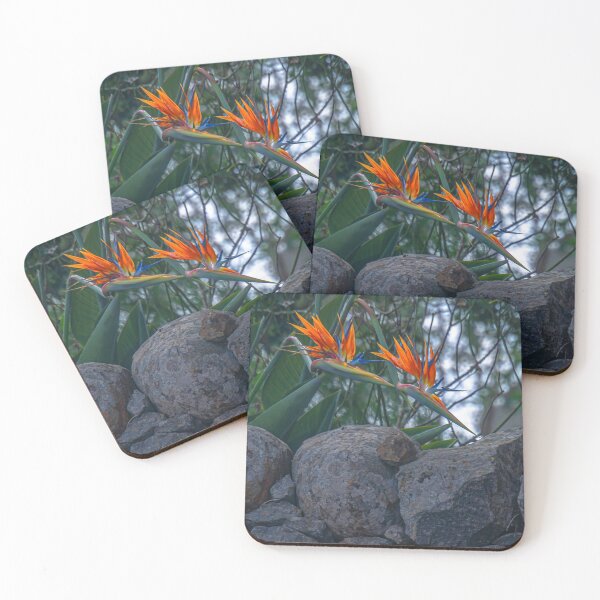 Item preview, Bird of Paradise above the Rockwall designed and sold by Steven Jodoin.