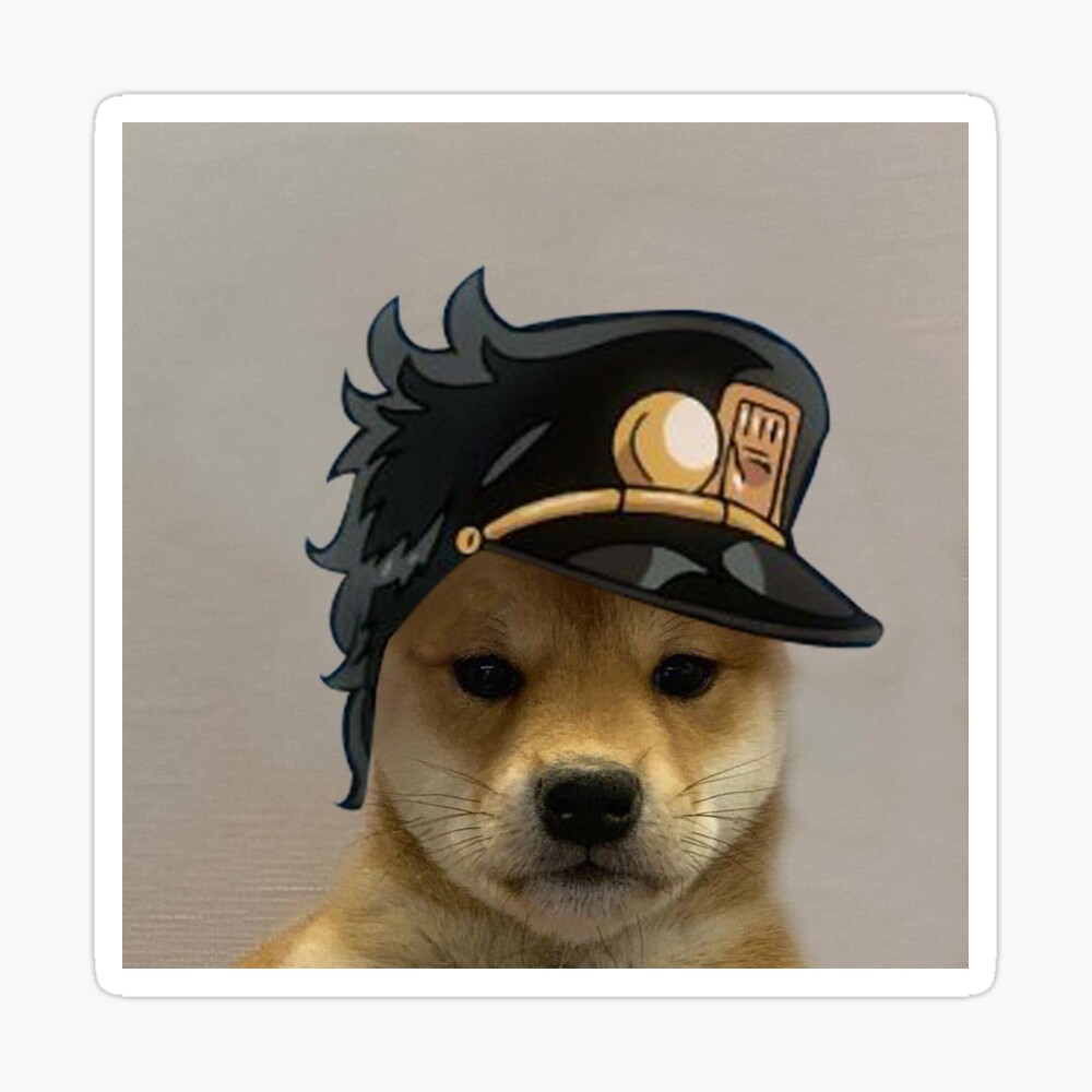 dog with jotaro hat