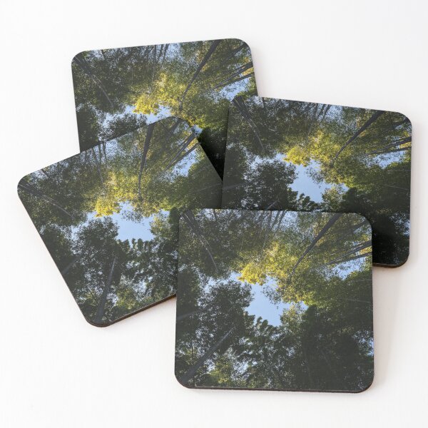 Item preview, Minimal Bamboo Forest Photo designed and sold by JapanTees.