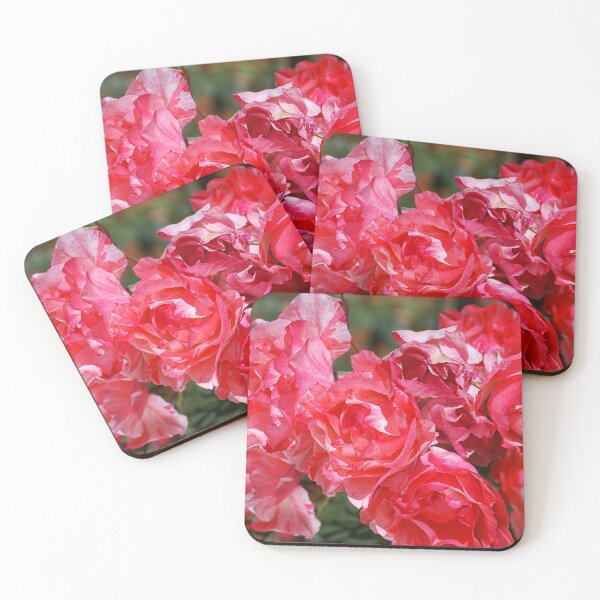 Item preview, Grimaldi Rose Variegated Red  designed and sold by Joy Watson - Natural Light Photography .