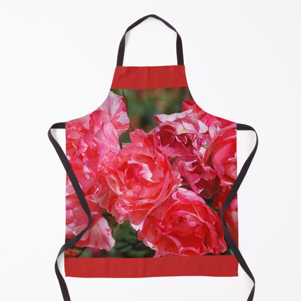 Item preview, Grimaldi Rose Variegated Red designed and sold by Joy Watson - Natural Light Photography .
