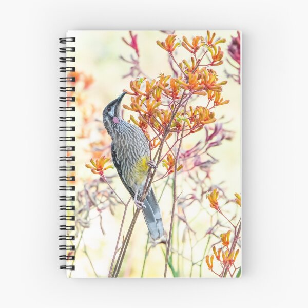 Item preview, Kangaroo Paw and the Bird designed and sold by SallyB.Photography.
