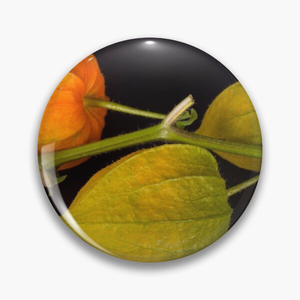 Item preview, Physalis or balloon flower, designed and sold by Ingo Gerlach.