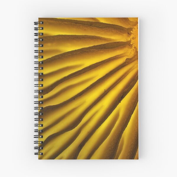 Item preview, Mushroom gills under the microscope designed and sold by SDym Photography.