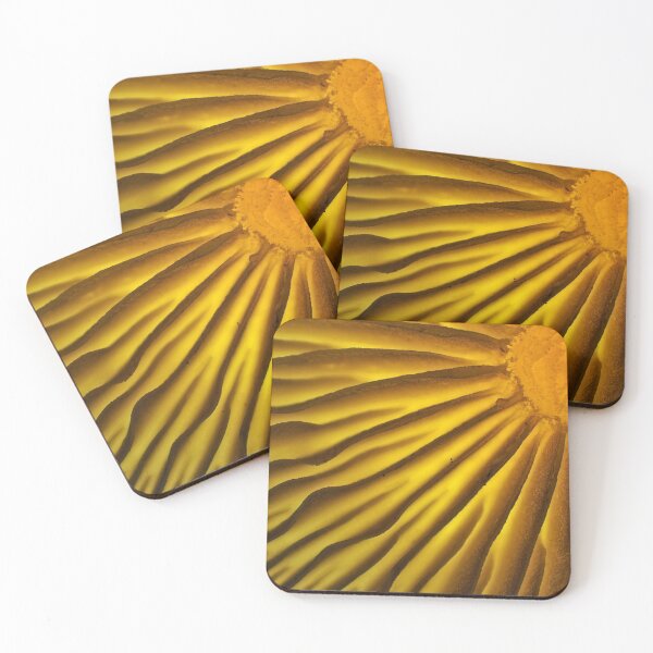 Item preview, Mushroom gills under the microscope designed and sold by SDym Photography.
