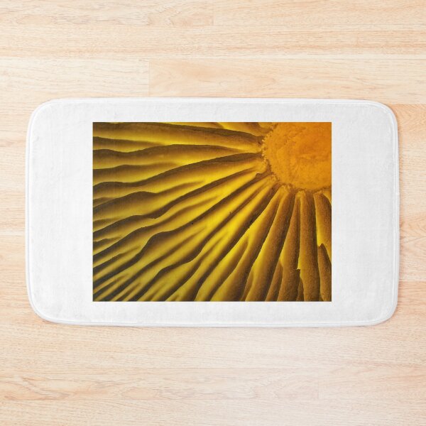 Item preview, Mushroom gills under the microscope designed and sold by SDym Photography.