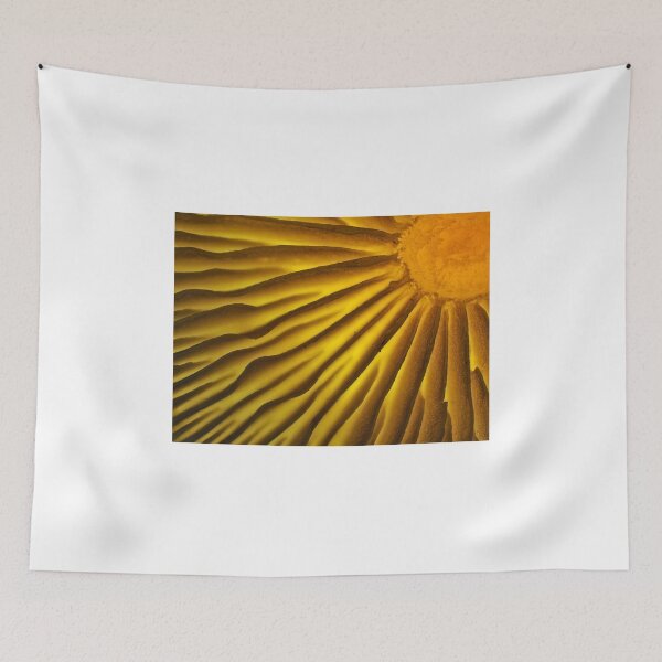 Item preview, Mushroom gills under the microscope designed and sold by SDym Photography.