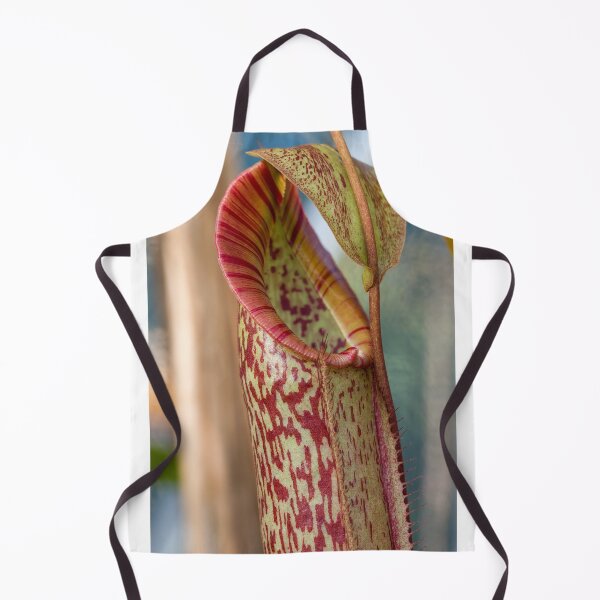 Item preview, Opening tropical pitcher plant - Nepenthes fusca x maxima designed and sold by Trent Townsend.