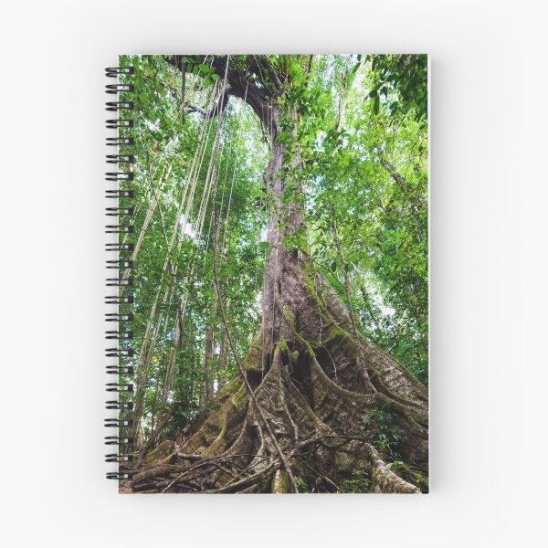 Item preview, Dominica Rainforest VII designed and sold by Robert Gall Photography.