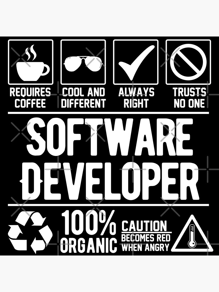 Disover Software Developer Job Premium Matte Vertical Poster