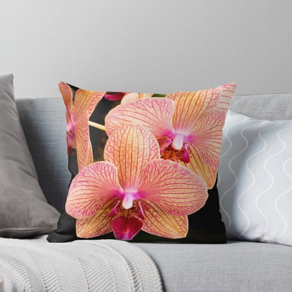 Item preview, Orchid Show Favorite designed and sold by Robert Kelch, M.D..