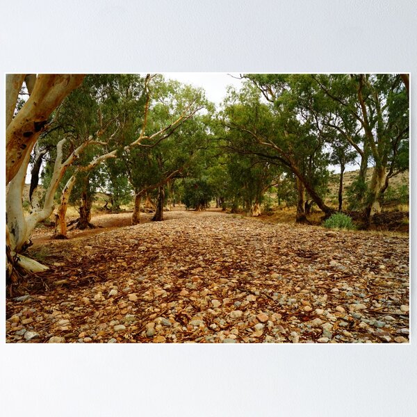 Item preview, Flinders Ranges 3 designed and sold by Steve9.
