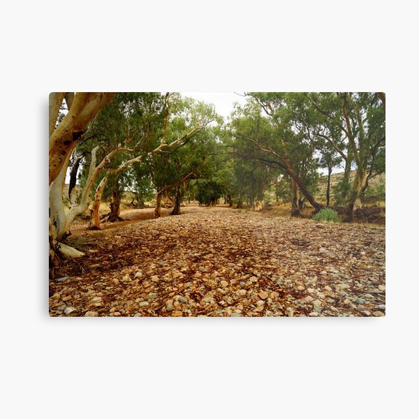 Item preview, Flinders Ranges 3 designed and sold by Steve9.