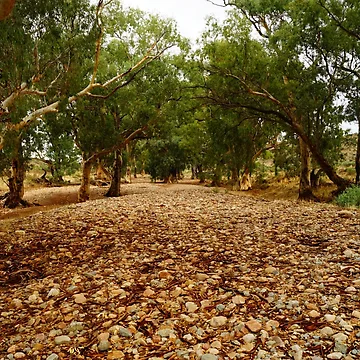 Artwork thumbnail, Flinders Ranges 3 by Steve9