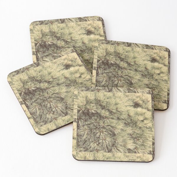Item preview, Pine trees in close-up designed and sold by Pelikancrazy.