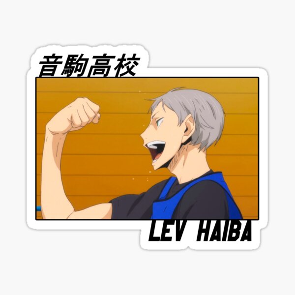 lev haiba merch