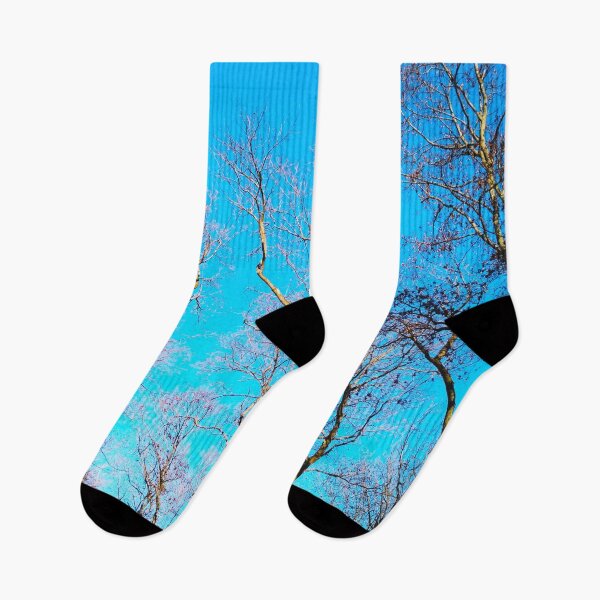 Item preview, Bare winter trees against the background of the blue cloudless sky  designed and sold by helenkaiy.