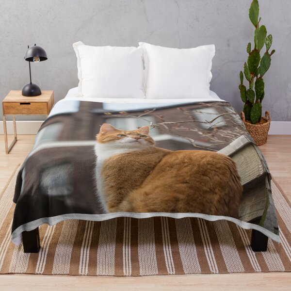 Item preview, Alert red cat designed and sold by Photopat.