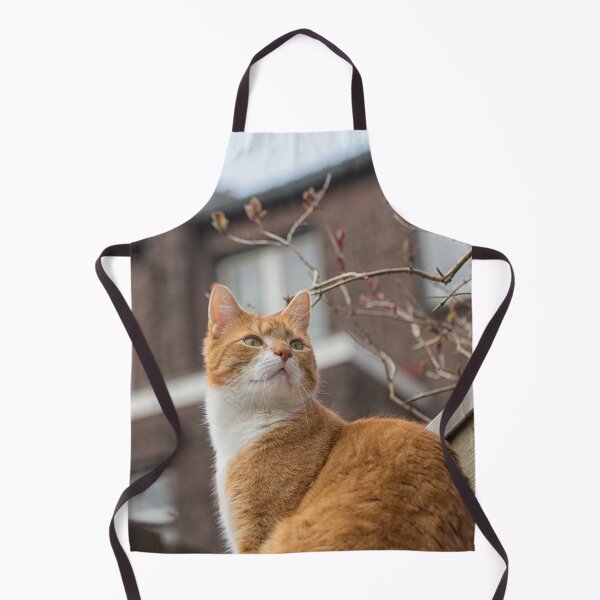Item preview, Alert red cat designed and sold by Photopat.