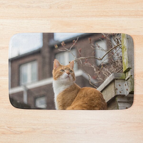 Item preview, Alert red cat designed and sold by Photopat.