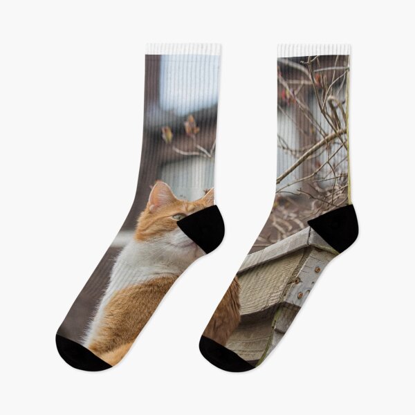 Item preview, Alert red cat designed and sold by Photopat.