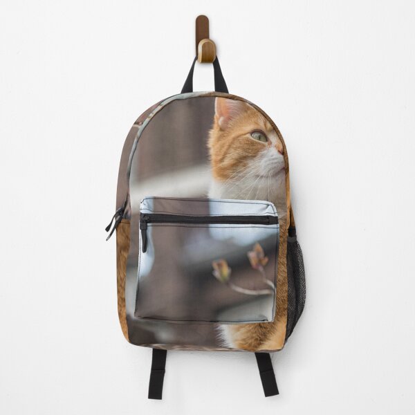Item preview, Alert red cat designed and sold by Photopat.