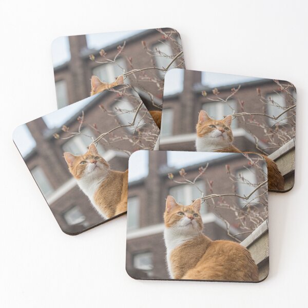 Item preview, Alert red cat designed and sold by Photopat.