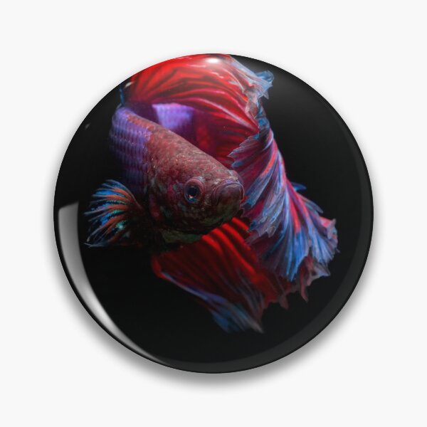 Item preview, Betta designed and sold by Derek Byrne.