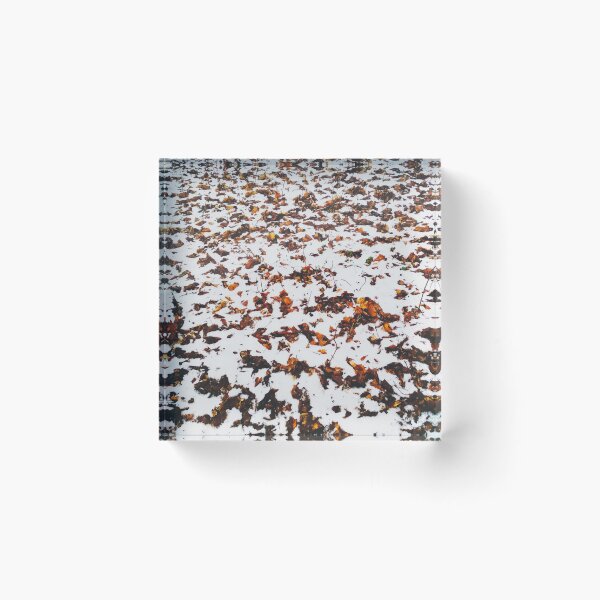 Item preview, First snow, natural background, autumn meets winter  designed and sold by helenkaiy.