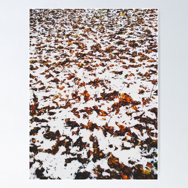 Item preview, First snow, natural background, autumn meets winter  designed and sold by helenkaiy.