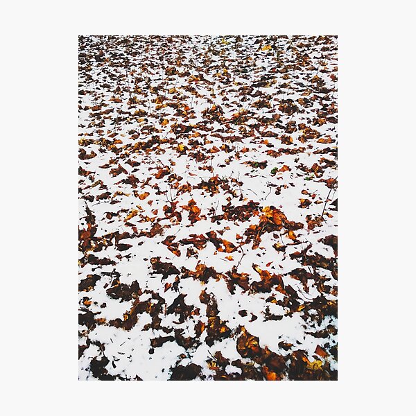 Item preview, First snow, natural background, autumn meets winter  designed and sold by helenkaiy.