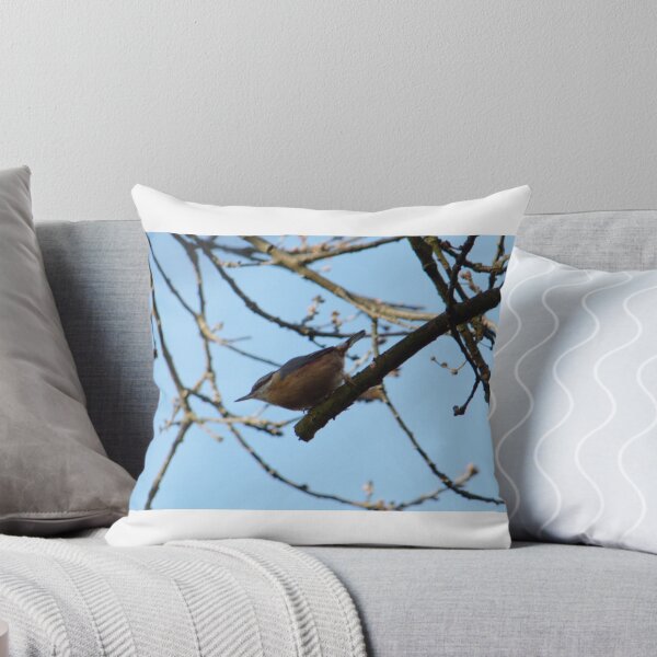 Item preview, Nuthatch Poised designed and sold by Adrian Wale.