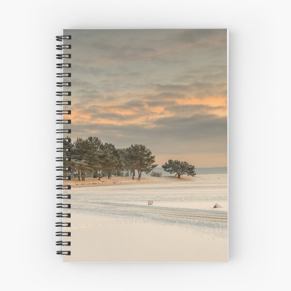 Item preview, Frozen Kaunas Lagoon in winter designed and sold by Geraldas Galinauskas.