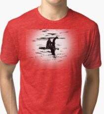 Bigfoot and the Loch Ness Monster team-up confirmed? Tri-blend T-Shirt