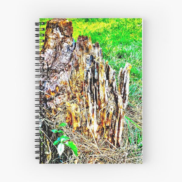 Item preview, Surroundings designed and sold by TmartUS.