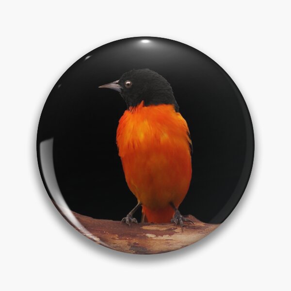 Item preview, Baltimore Oriole ~ Male designed and sold by cherylorraine.