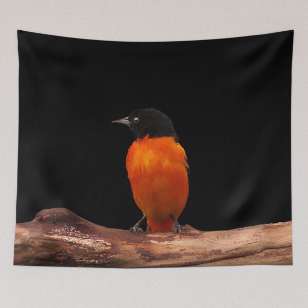 Item preview, Baltimore Oriole ~ Male designed and sold by cherylorraine.