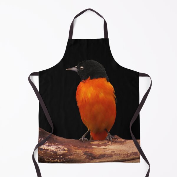 Item preview, Baltimore Oriole ~ Male designed and sold by cherylorraine.
