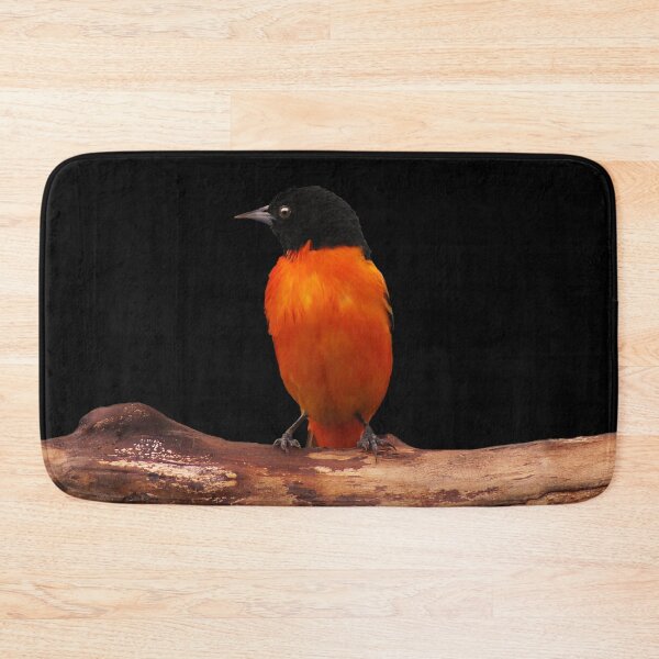 Item preview, Baltimore Oriole ~ Male designed and sold by cherylorraine.