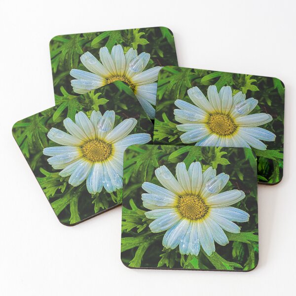 Item preview, Flower - Nature designed and sold by BaldingSnail.