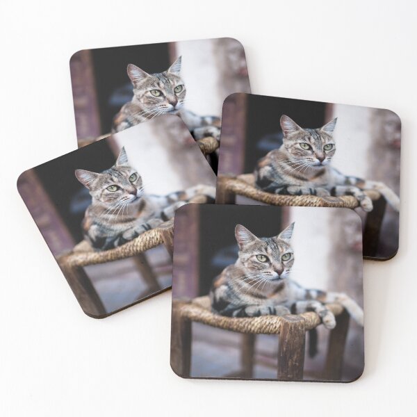 Item preview, Moroccan Cat designed and sold by Robert Gall Photography.