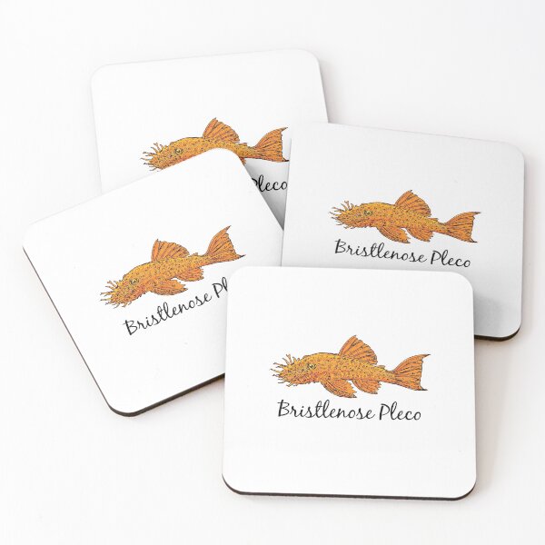 Item preview, Bristlenose Pleco - For all pleco lovers designed and sold by AquariumExp.