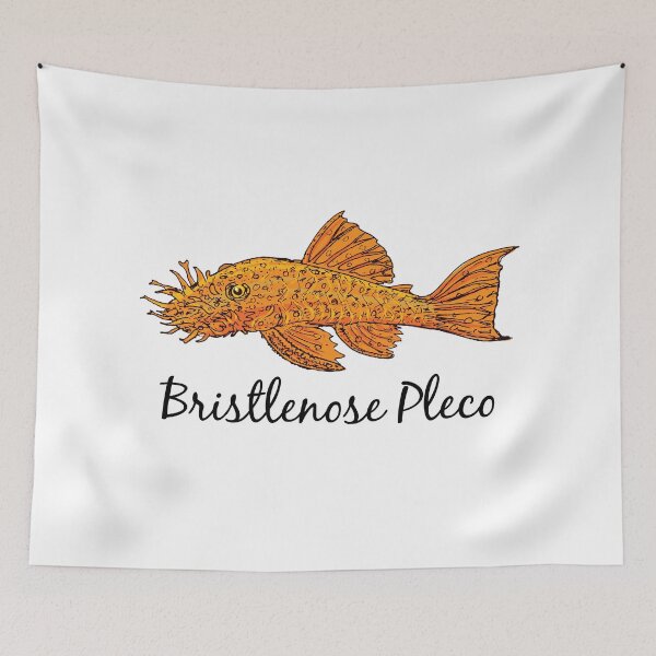 Item preview, Bristlenose Pleco - For all pleco lovers designed and sold by AquariumExp.