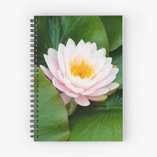 Item preview, water lily designed and sold by Robert Gall Photography.