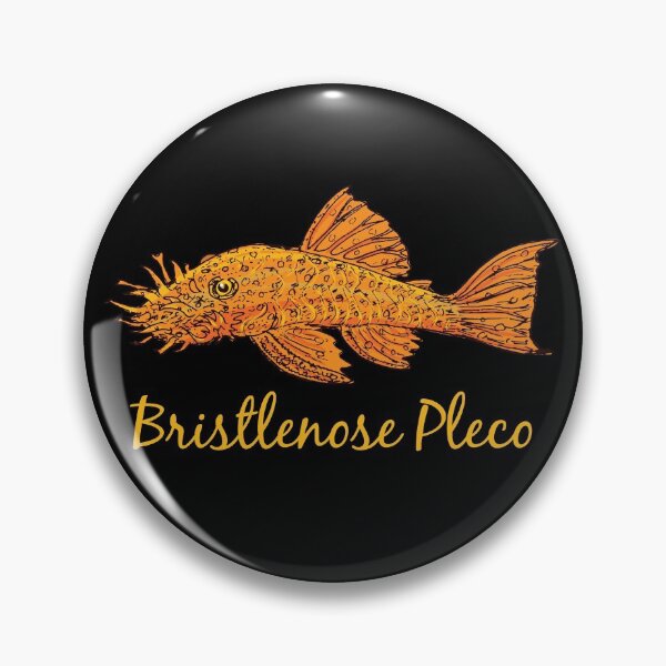 Item preview, Bristlenose Pleco - For all pleco lovers designed and sold by AquariumExp.