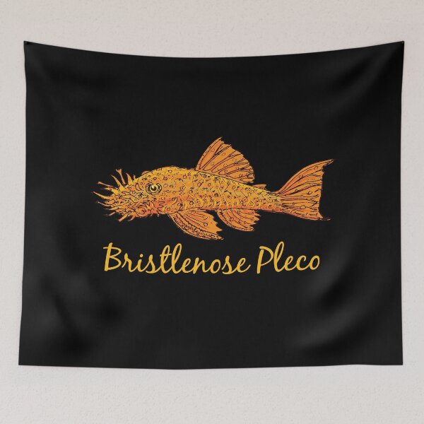 Item preview, Bristlenose Pleco - For all pleco lovers designed and sold by AquariumExp.