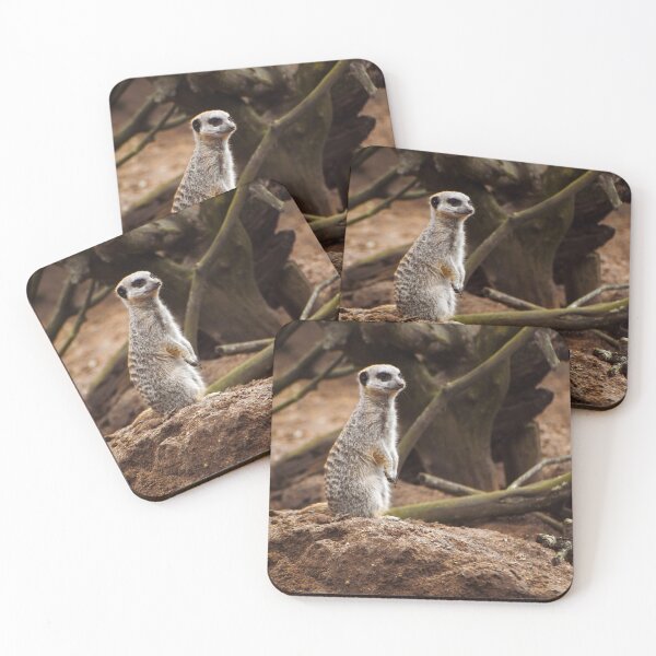 Item preview, Standing meerkat designed and sold by cdkphotos.