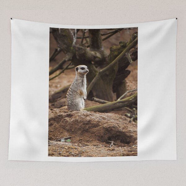 Item preview, Standing meerkat designed and sold by cdkphotos.