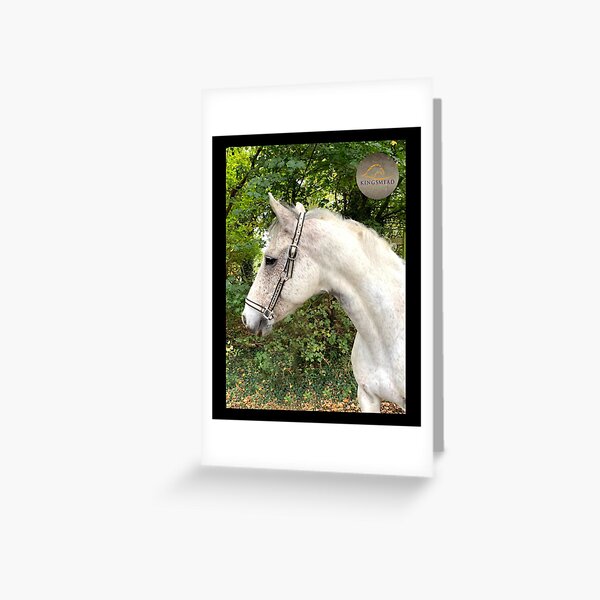Rohan Collection Greeting Card