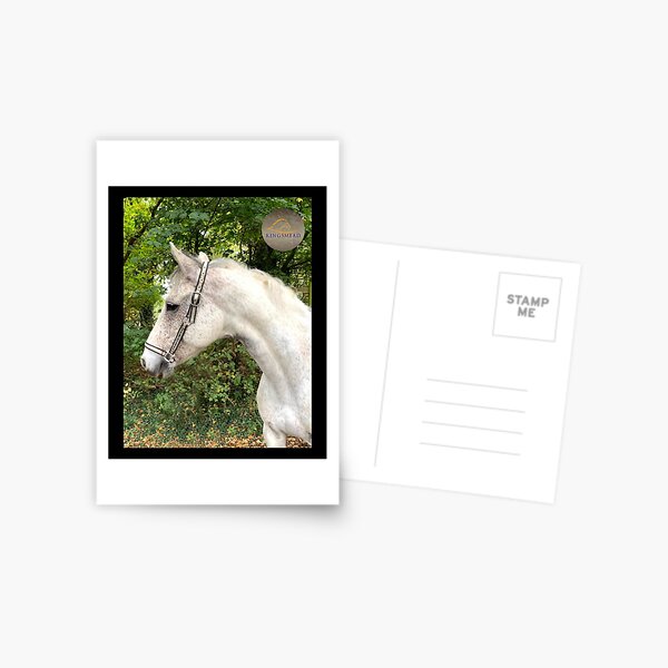 Rohan Collection Postcard